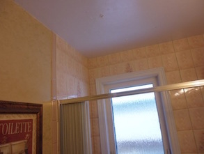 bathroom before reno photo 3