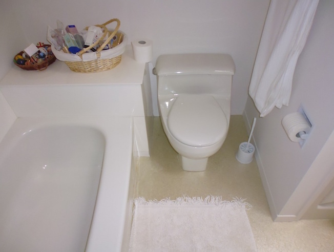 bathroom before reno photo 2