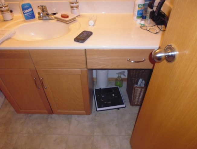 bathroom before reno photo 2
